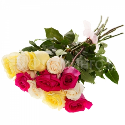 Розы код 678  11 разноцветных роз